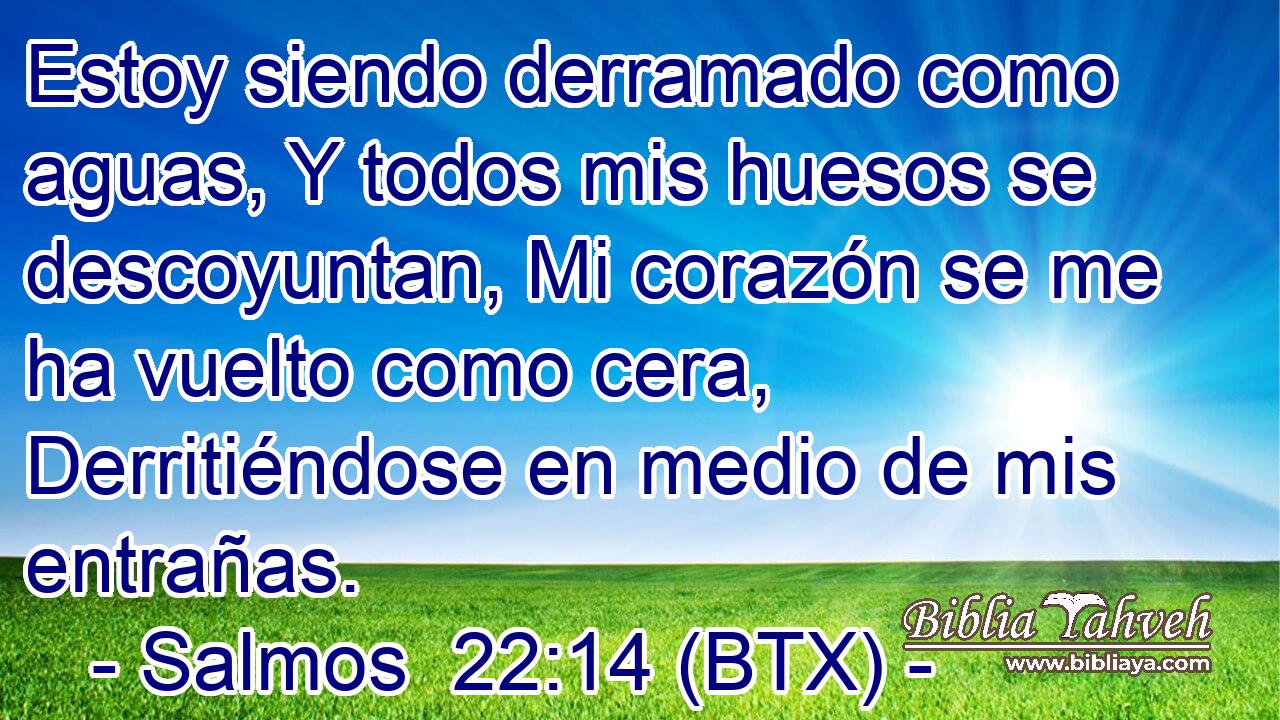 Estoy siendo derramado como aguas, Y todos mis huesos se descoyuntan, Mi corazón se me ha vuelto como cera, Derritiéndose en medio de mis entrañas.