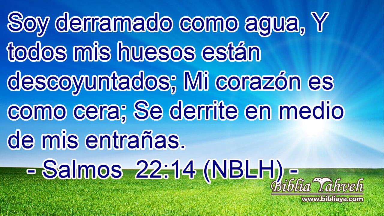 Soy derramado como agua, Y todos mis huesos están descoyuntados; Mi corazón es como cera; Se derrite en medio de mis entrañas. 