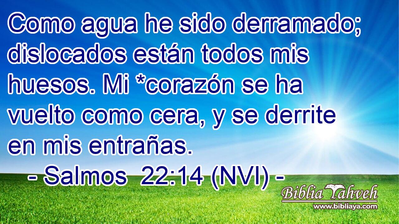  Como agua he sido derramado; dislocados están todos mis huesos. Mi *corazón se ha vuelto como cera, y se derrite en mis entrañas. 
