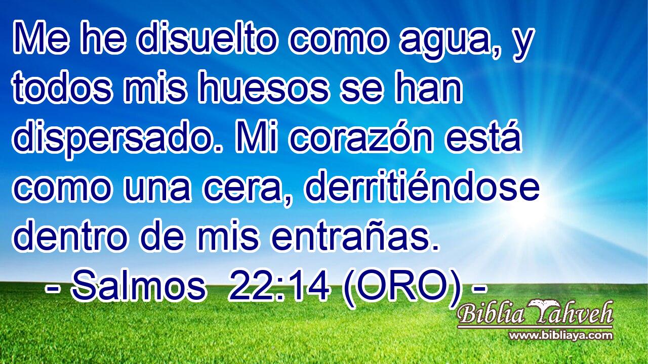  Me he disuelto como agua, y todos mis huesos se han dispersado. Mi corazón está como una cera, derritiéndose dentro de mis entrañas. 