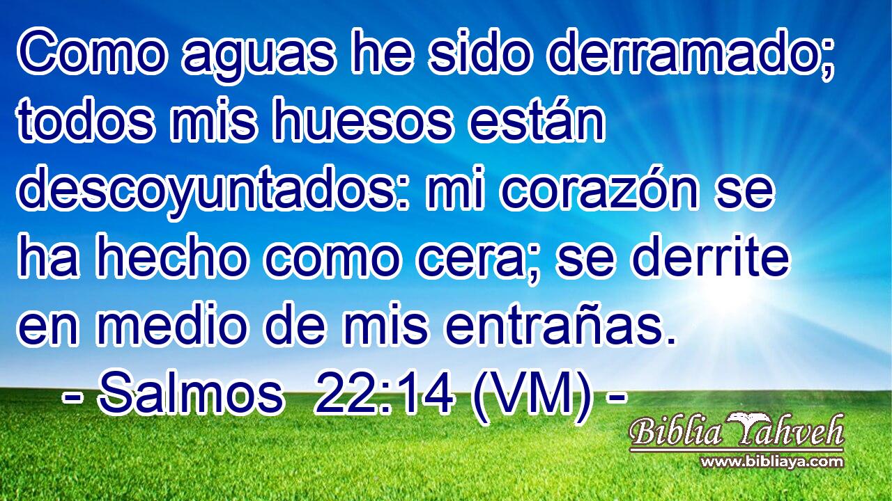  Como aguas he sido derramado; todos mis huesos están descoyuntados: mi corazón se ha hecho como cera; se derrite en medio de mis entrañas. 