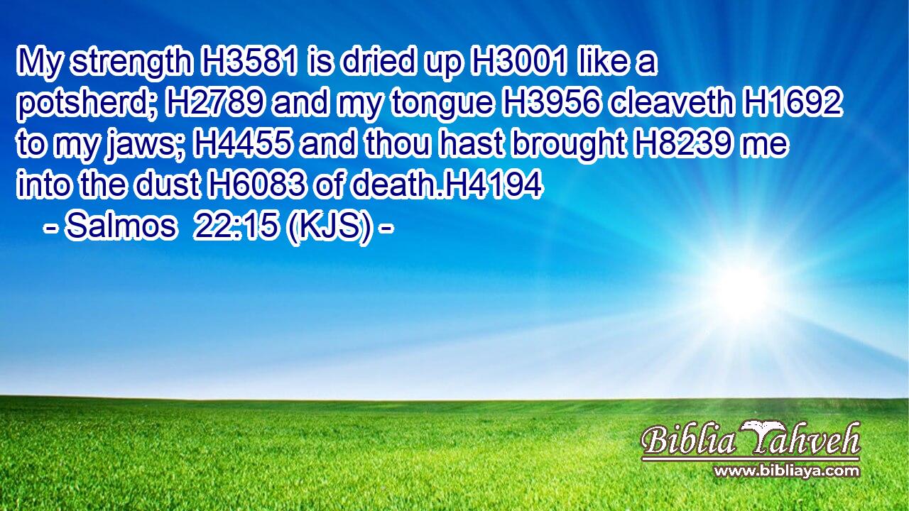 My strength H3581 is dried up H3001 like a potsherd; H2789 and my tongue H3956 cleaveth H1692 to my jaws; H4455 and thou hast brought H8239 me into the dust H6083 of death.H4194
