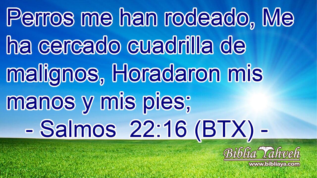Perros me han rodeado, Me ha cercado cuadrilla de malignos, Horadaron mis manos y mis pies;