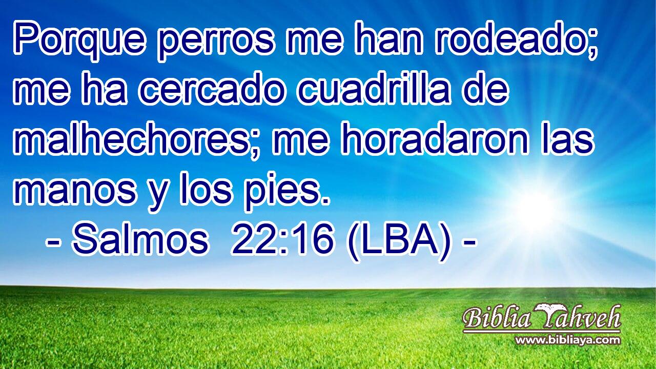 Porque perros me han rodeado; me ha cercado cuadrilla de malhechores; me horadaron las manos y los pies.