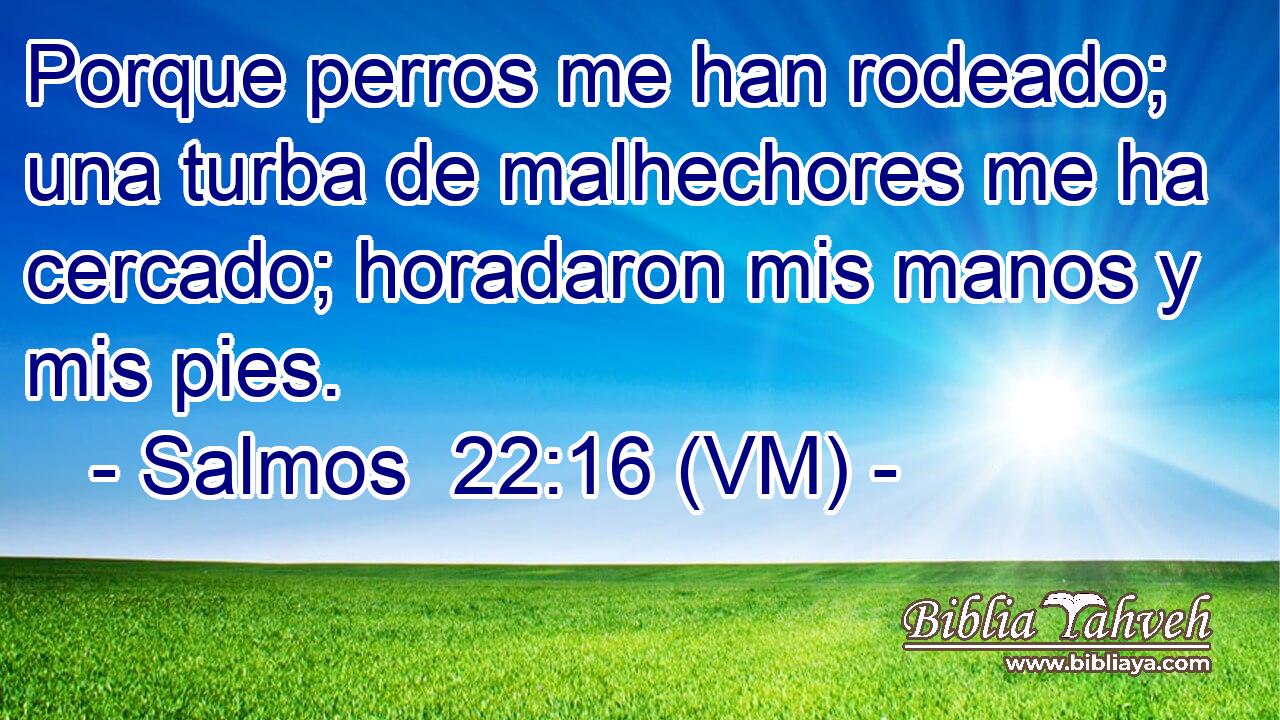  Porque perros me han rodeado; una turba de malhechores me ha cercado; horadaron mis manos y mis pies. 