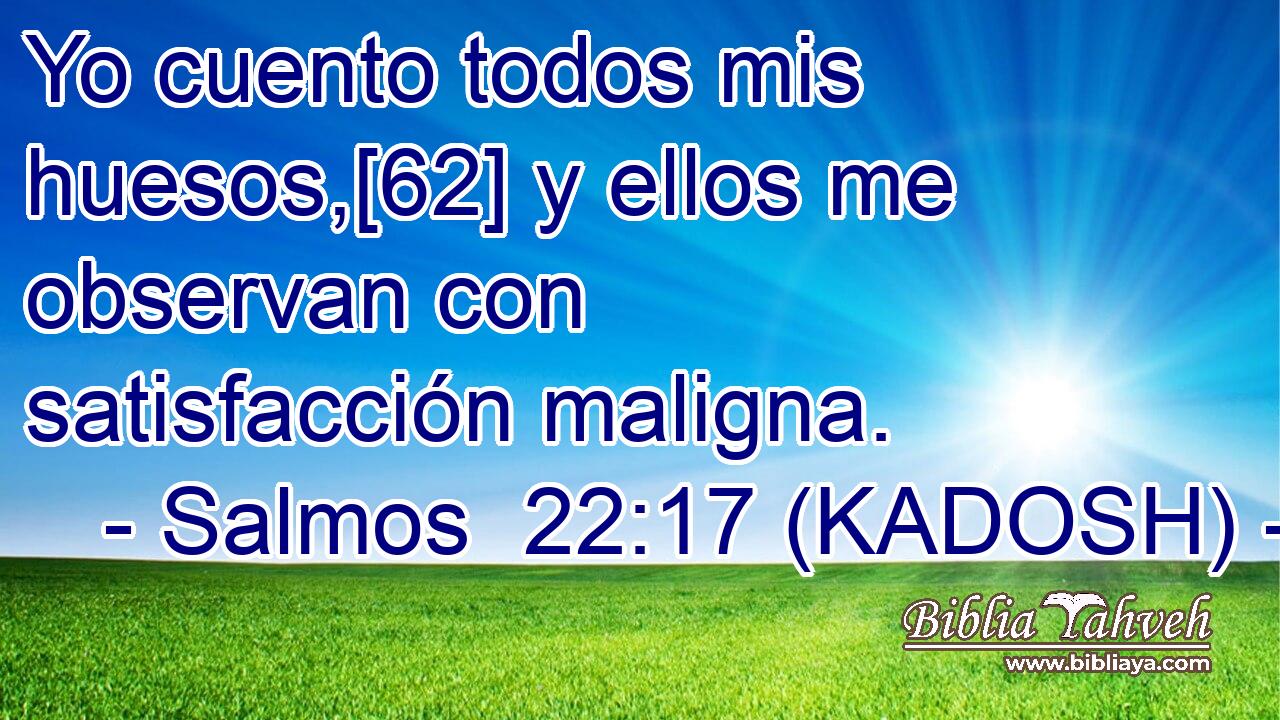  Yo cuento todos mis huesos,[62] y ellos me observan con satisfacción maligna. 