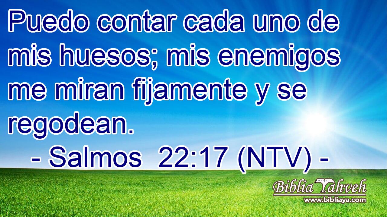 Puedo contar cada uno de mis huesos; mis enemigos me miran fijamente y se regodean.