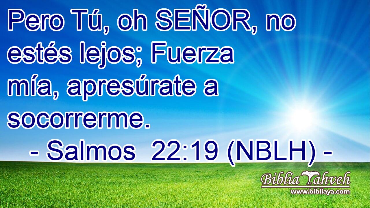  Pero Tú, oh SEÑOR, no estés lejos; Fuerza mía, apresúrate a socorrerme. 