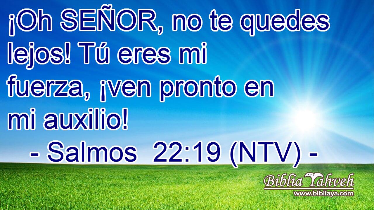 ¡Oh SEÑOR, no te quedes lejos! Tú eres mi fuerza, ¡ven pronto en mi auxilio!