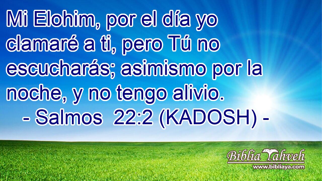  Mi Elohim, por el día yo clamaré a ti, pero Tú no escucharás; asimismo por la noche, y no tengo alivio. 