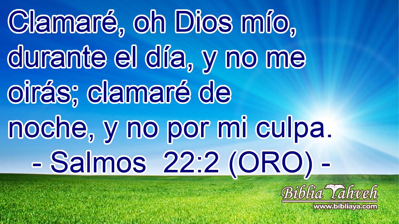  Clamaré, oh Dios mío, durante el día, y no me oirás; clamaré de noche, y no por mi culpa. 