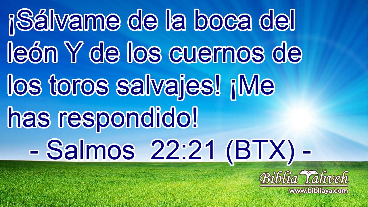 ¡Sálvame de la boca del león Y de los cuernos de los toros salvajes! ¡Me has respondido!