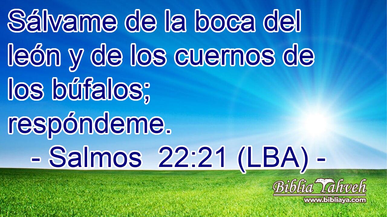 Sálvame de la boca del león y de los cuernos de los búfalos; respóndeme.