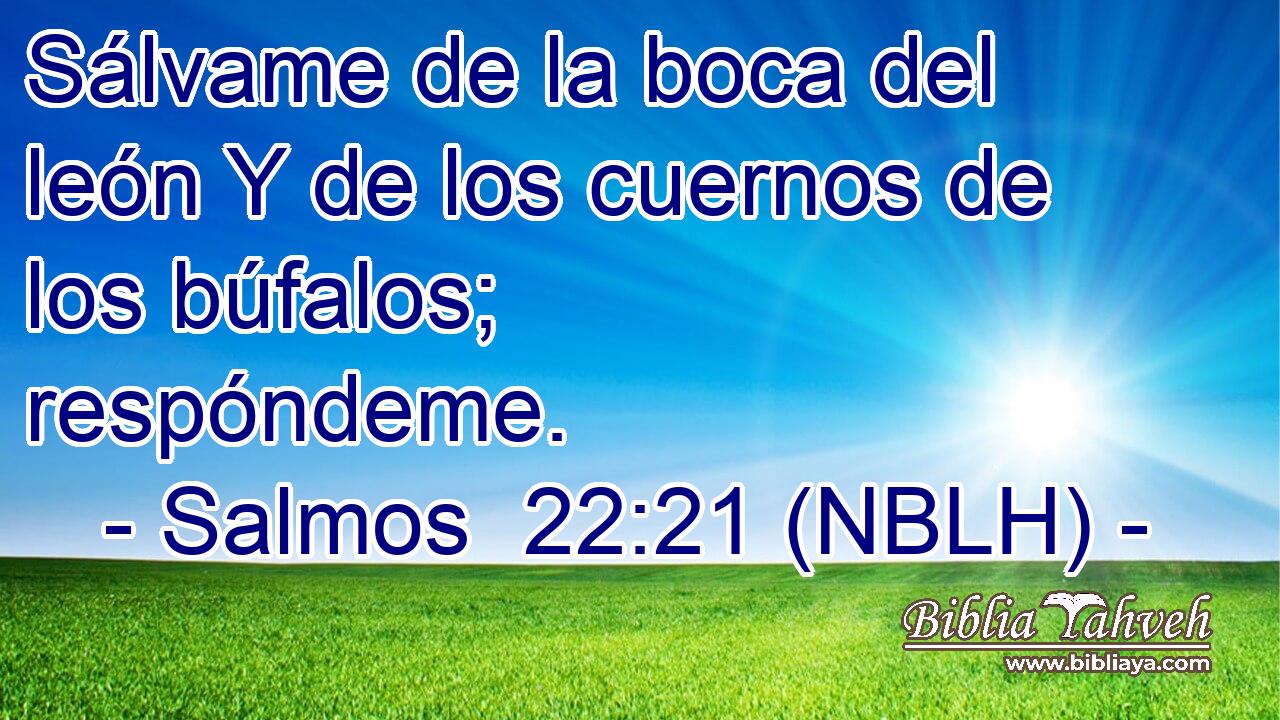  Sálvame de la boca del león Y de los cuernos de los búfalos; respóndeme. 