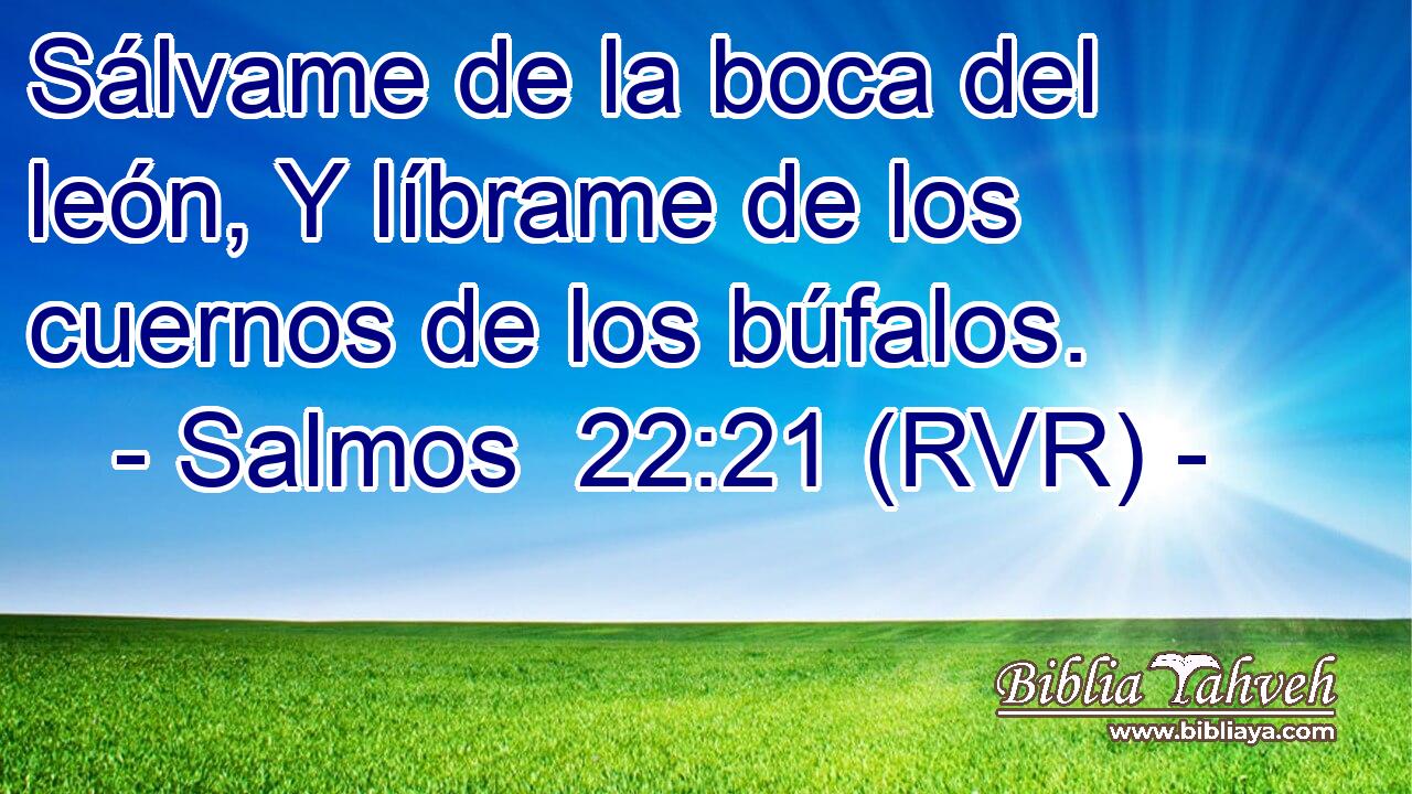 Sálvame de la boca del león, Y líbrame de los cuernos de los búfalos.