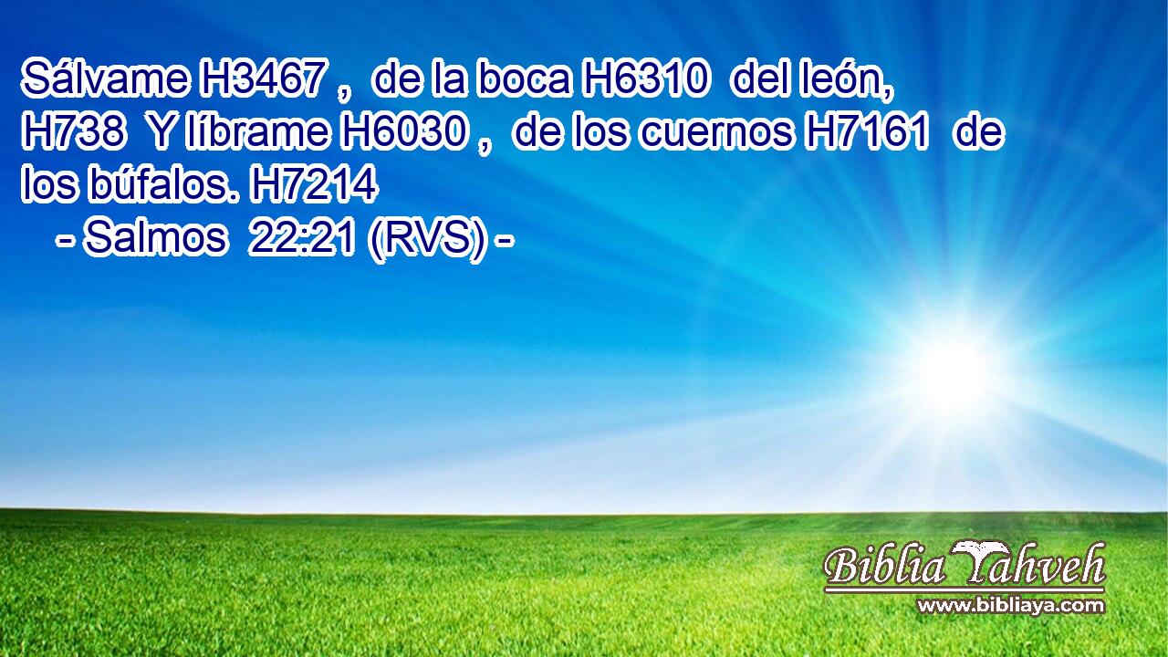 Sálvame H3467 ,  de la boca H6310  del león, H738  Y líbrame H6030 ,  de los cuernos H7161  de los búfalos. H7214 