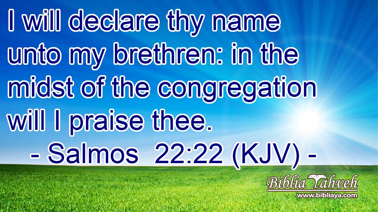 I will declare thy name unto my brethren: in the midst of the congregation will I praise thee.