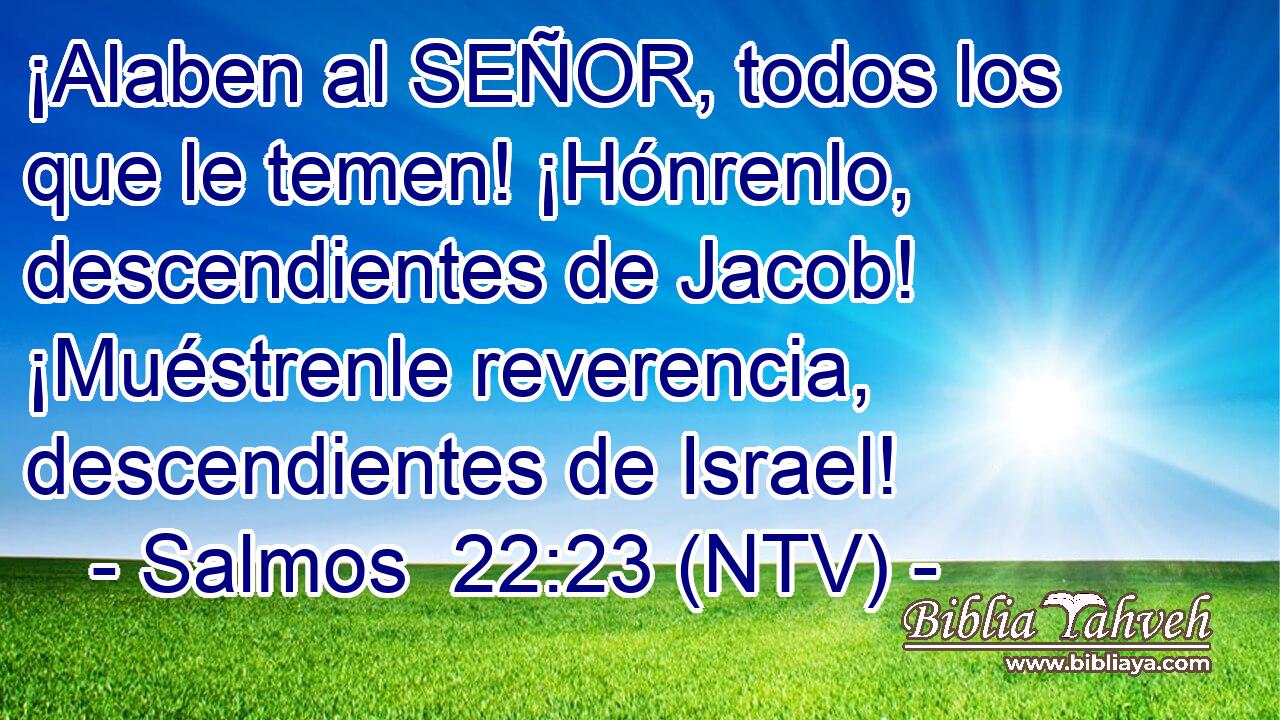 ¡Alaben al SEÑOR, todos los que le temen! ¡Hónrenlo, descendientes de Jacob! ¡Muéstrenle reverencia, descendientes de Israel!