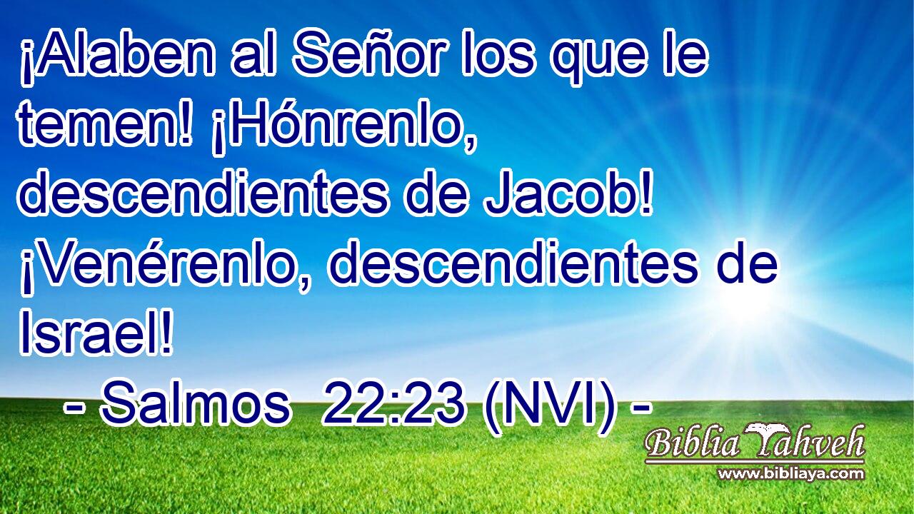  ¡Alaben al Señor los que le temen! ¡Hónrenlo, descendientes de Jacob! ¡Venérenlo, descendientes de Israel! 