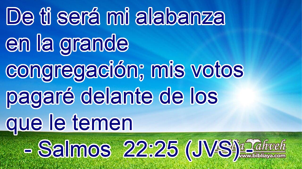 De ti será mi alabanza en la grande congregación; mis votos pagaré delante de los que le temen