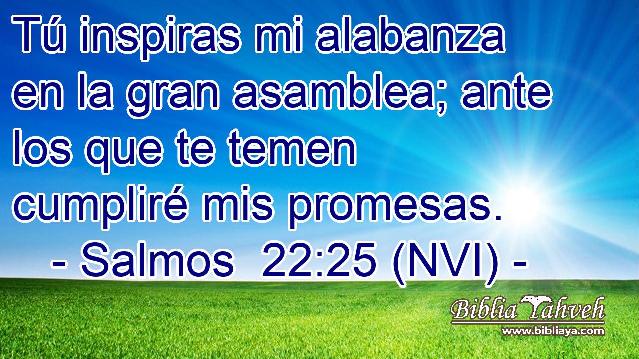  Tú inspiras mi alabanza en la gran asamblea; ante los que te temen cumpliré mis promesas. 