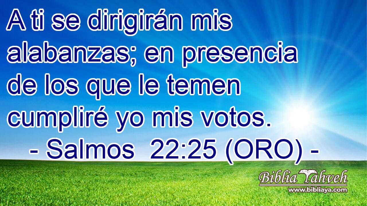  A ti se dirigirán mis alabanzas; en presencia de los que le temen cumpliré yo mis votos. 