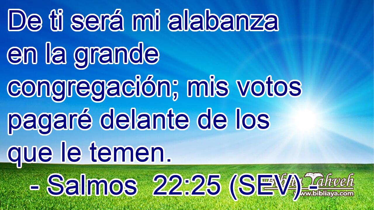 De ti será mi alabanza en la grande congregación; mis votos pagaré delante de los que le temen.