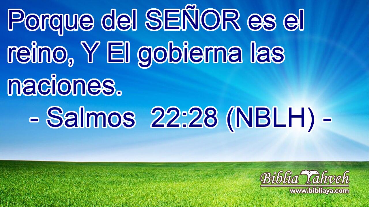  Porque del SEÑOR es el reino, Y El gobierna las naciones. 