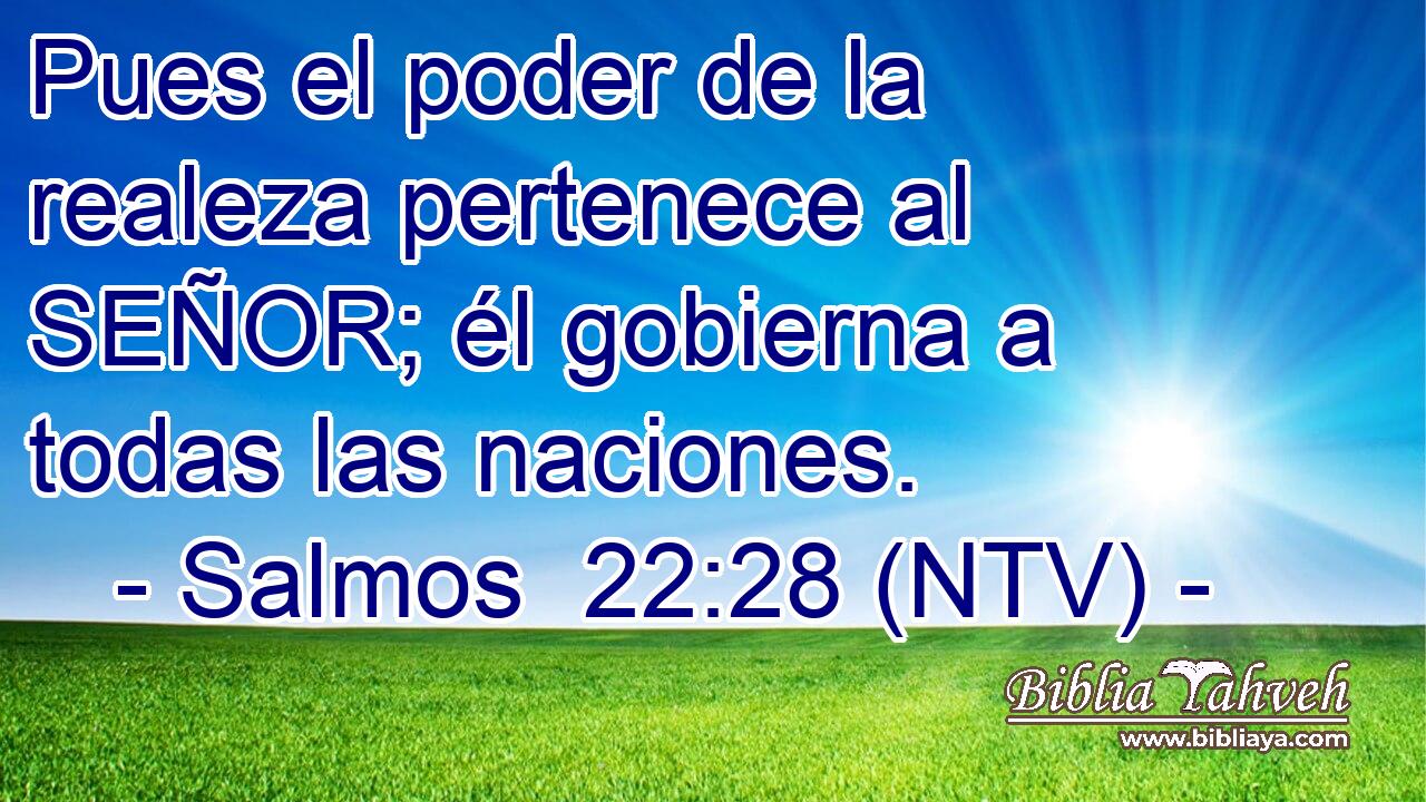 Pues el poder de la realeza pertenece al SEÑOR; él gobierna a todas las naciones.