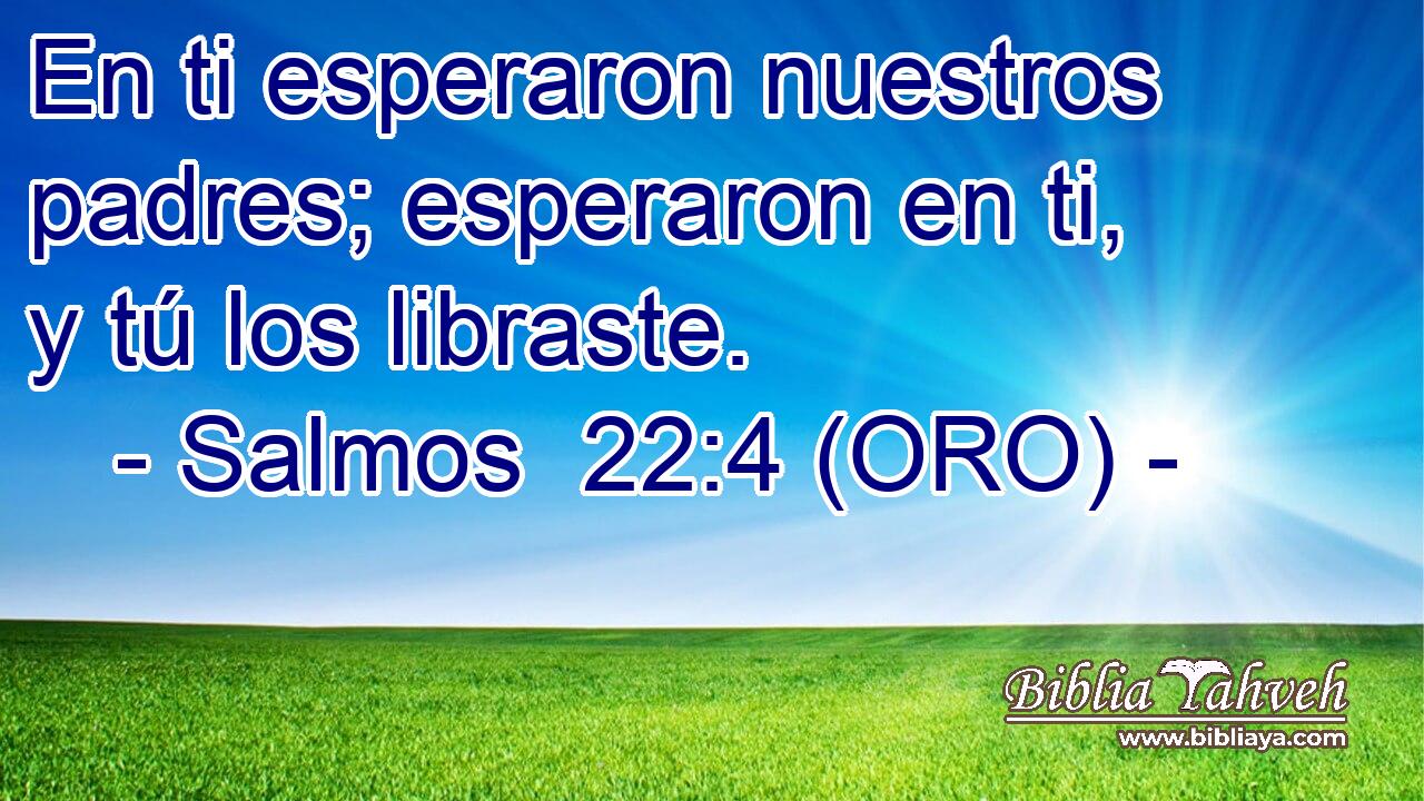 En ti esperaron nuestros padres; esperaron en ti, y tú los libraste. 