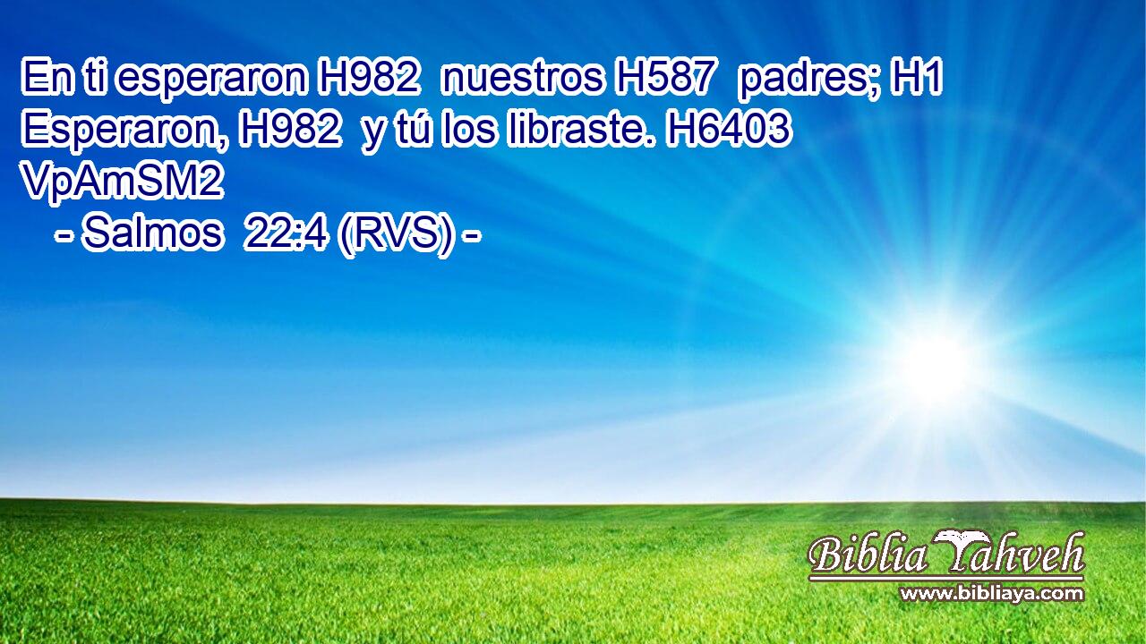 En ti esperaron H982  nuestros H587  padres; H1  Esperaron, H982  y tú los libraste. H6403 VpAmSM2 