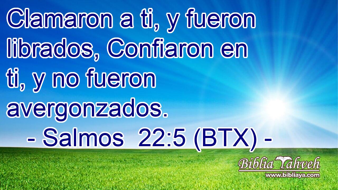 Clamaron a ti, y fueron librados, Confiaron en ti, y no fueron avergonzados.