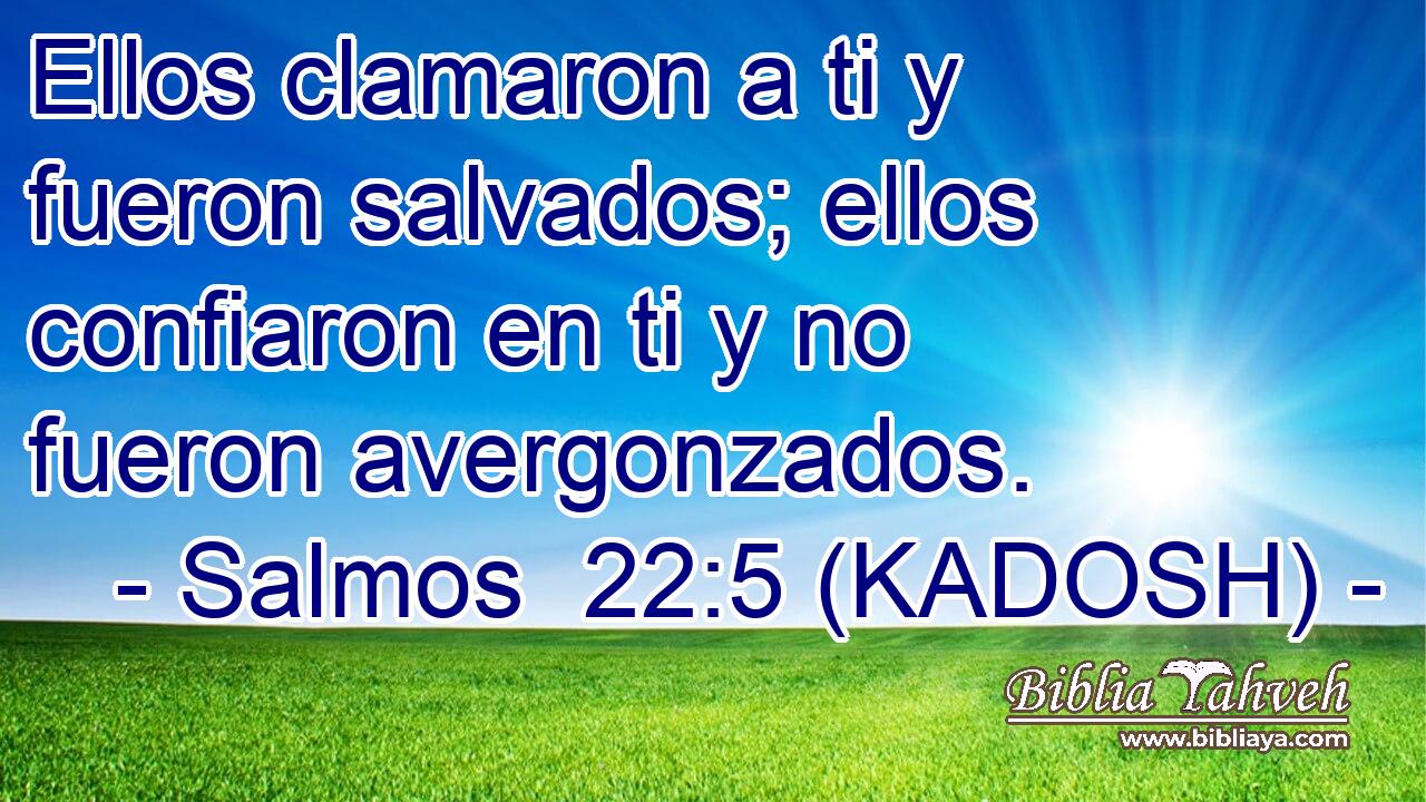  Ellos clamaron a ti y fueron salvados; ellos confiaron en ti y no fueron avergonzados. 
