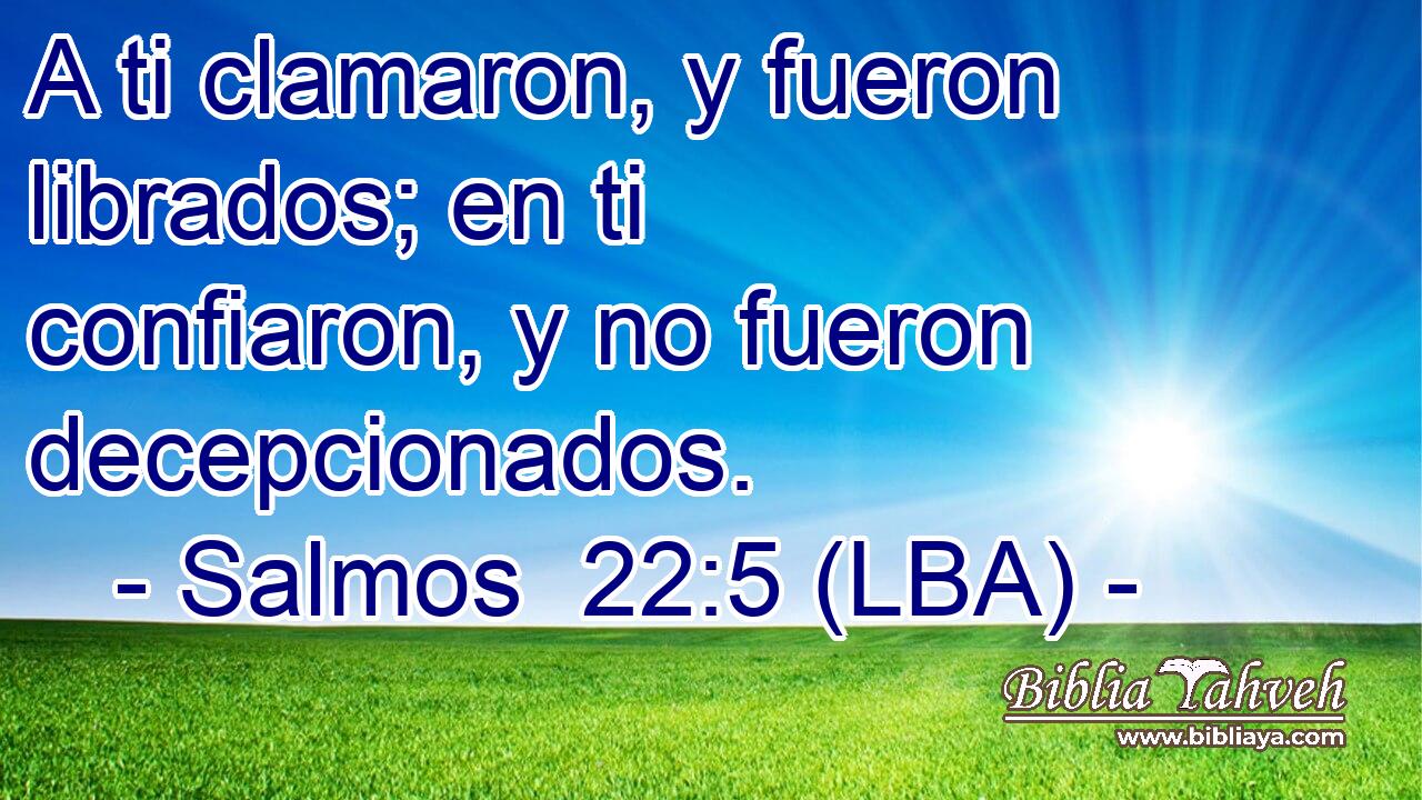 A ti clamaron, y fueron librados; en ti confiaron, y no fueron decepcionados.