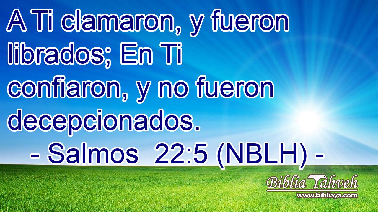  A Ti clamaron, y fueron librados; En Ti confiaron, y no fueron decepcionados. 
