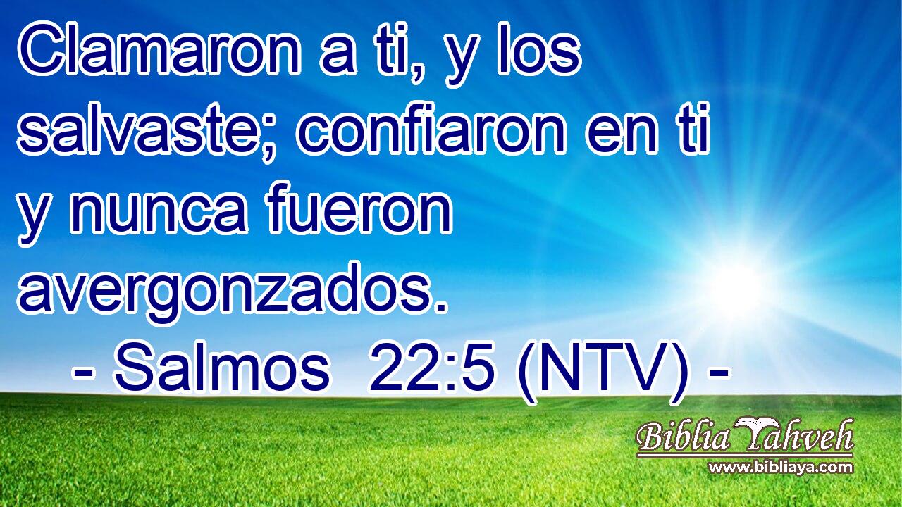 Clamaron a ti, y los salvaste; confiaron en ti y nunca fueron avergonzados.