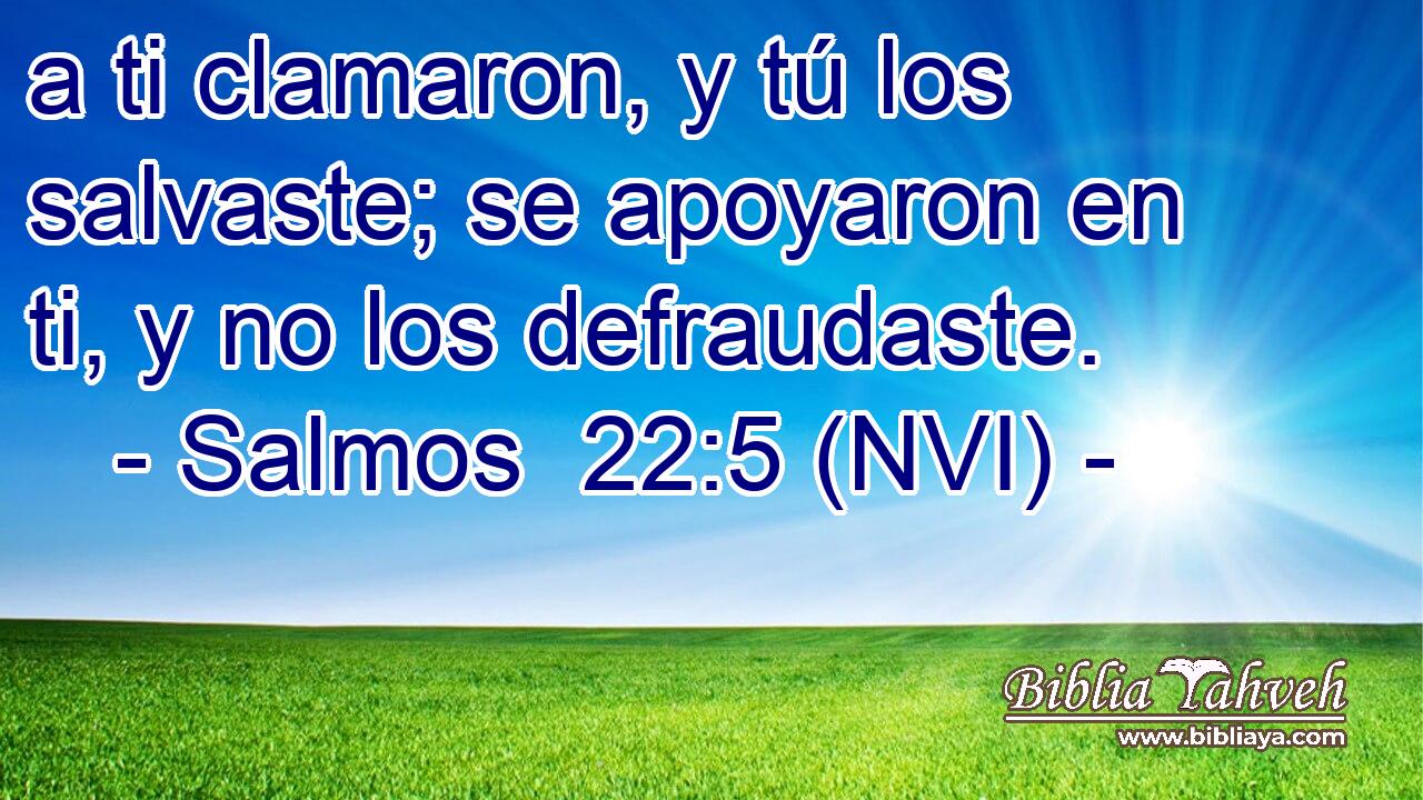  a ti clamaron, y tú los salvaste; se apoyaron en ti, y no los defraudaste. 