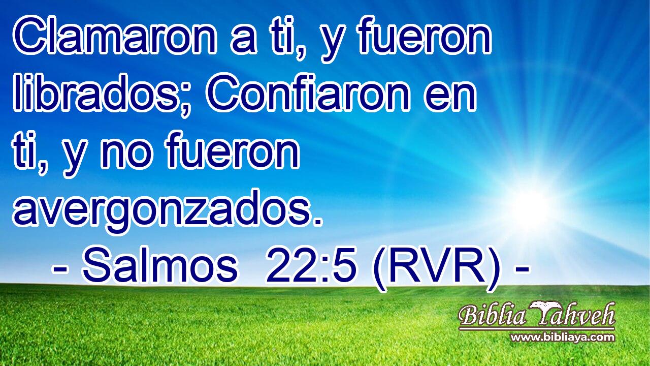 Clamaron a ti, y fueron librados; Confiaron en ti, y no fueron avergonzados.