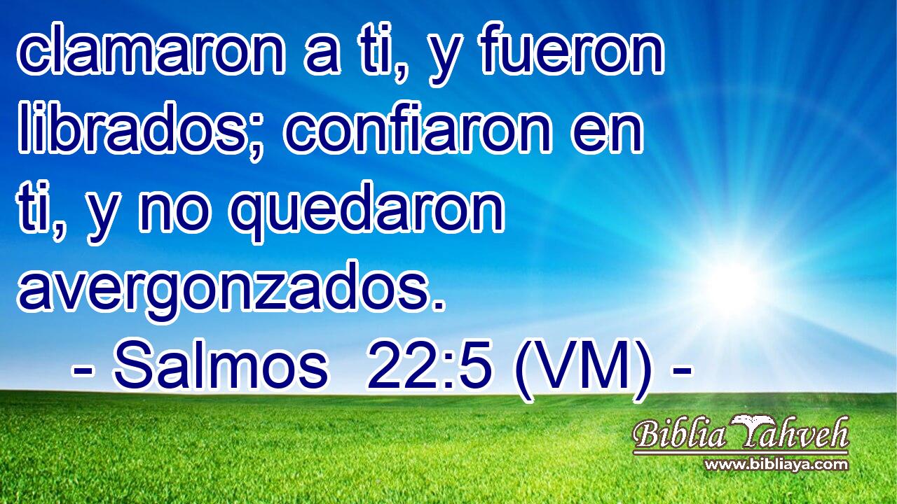  clamaron a ti, y fueron librados; confiaron en ti, y no quedaron avergonzados. 