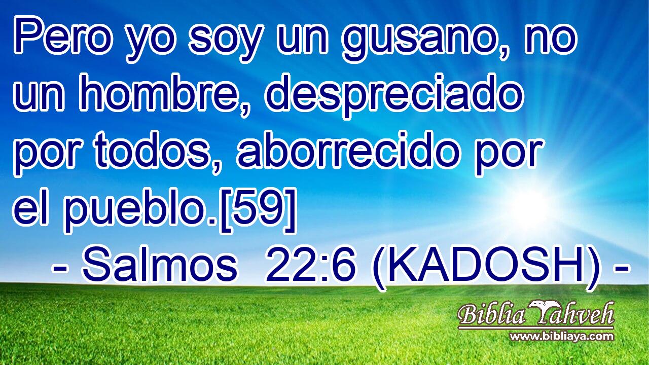  Pero yo soy un gusano, no un hombre, despreciado por todos, aborrecido por el pueblo.[59] 