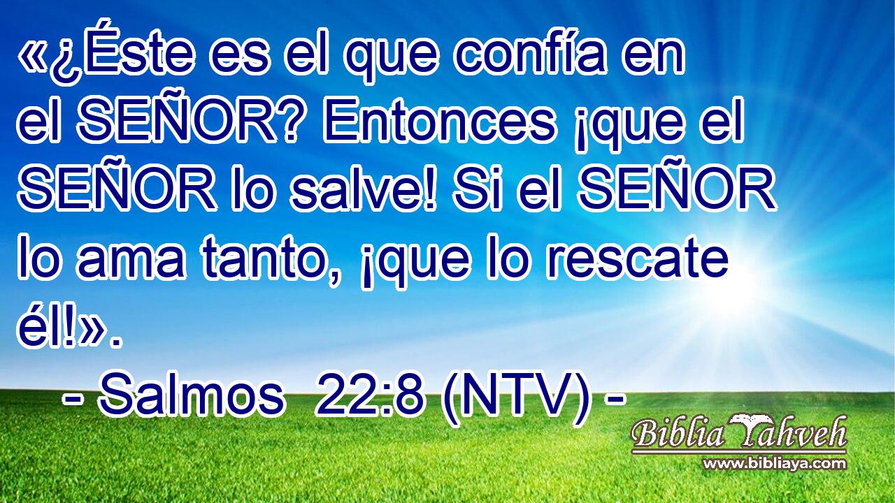 «¿Éste es el que confía en el SEÑOR? Entonces ¡que el SEÑOR lo salve! Si el SEÑOR lo ama tanto, ¡que lo rescate él!».