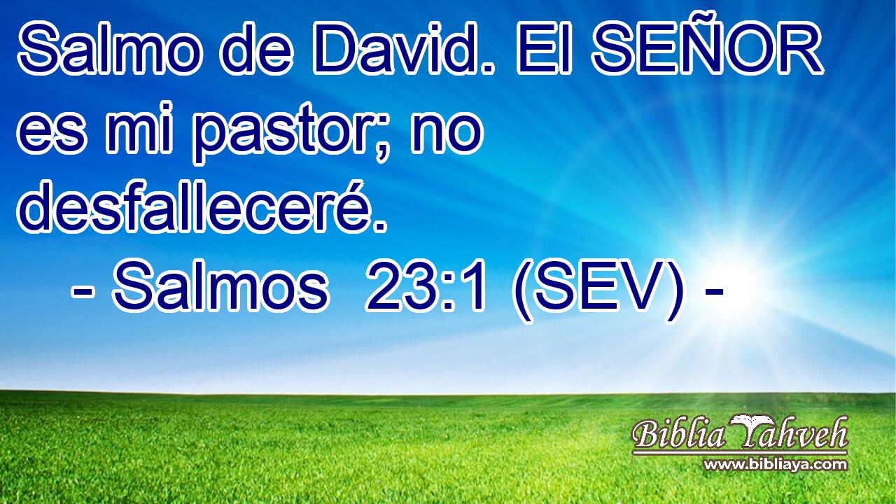 Salmo de David. El SEÑOR es mi pastor; no desfalleceré.