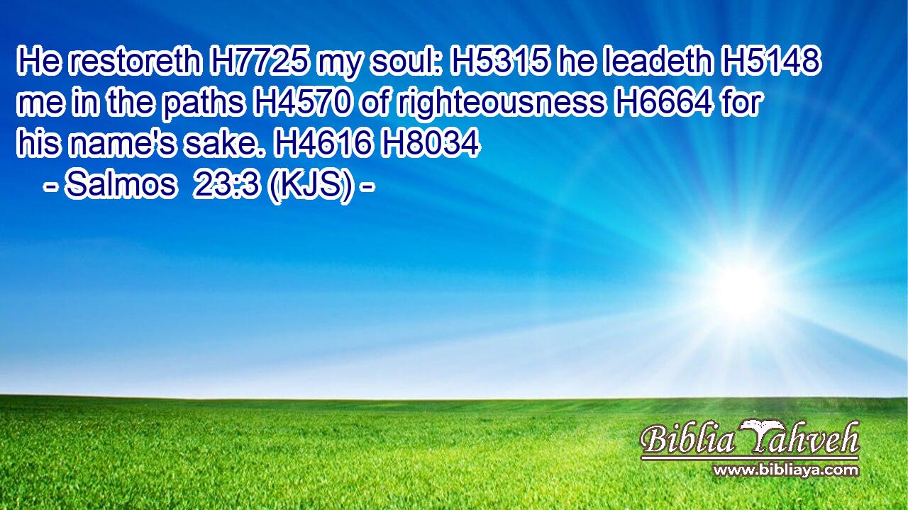 He restoreth H7725 my soul: H5315 he leadeth H5148 me in the paths H4570 of righteousness H6664 for his name's sake. H4616 H8034