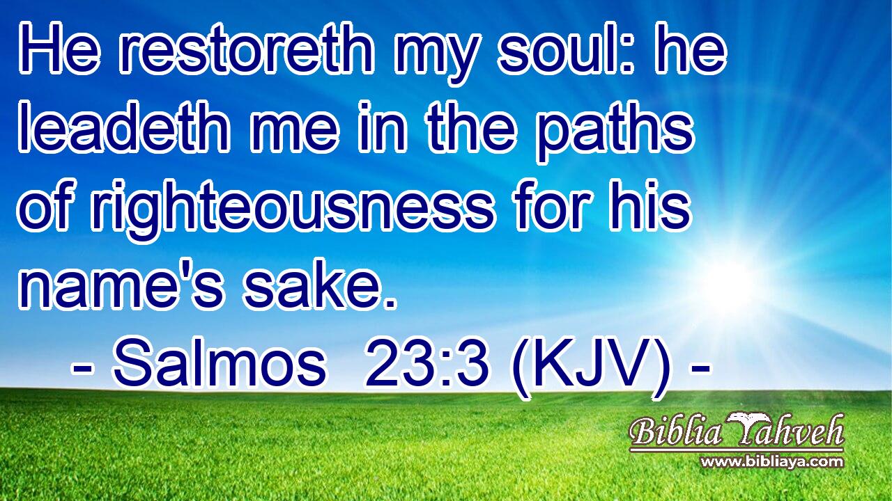 He restoreth my soul: he leadeth me in the paths of righteousness for his name's sake.