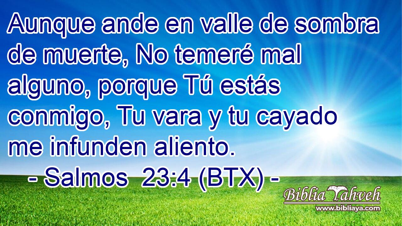Aunque ande en valle de sombra de muerte, No temeré mal alguno, porque Tú estás conmigo, Tu vara y tu cayado me infunden aliento.