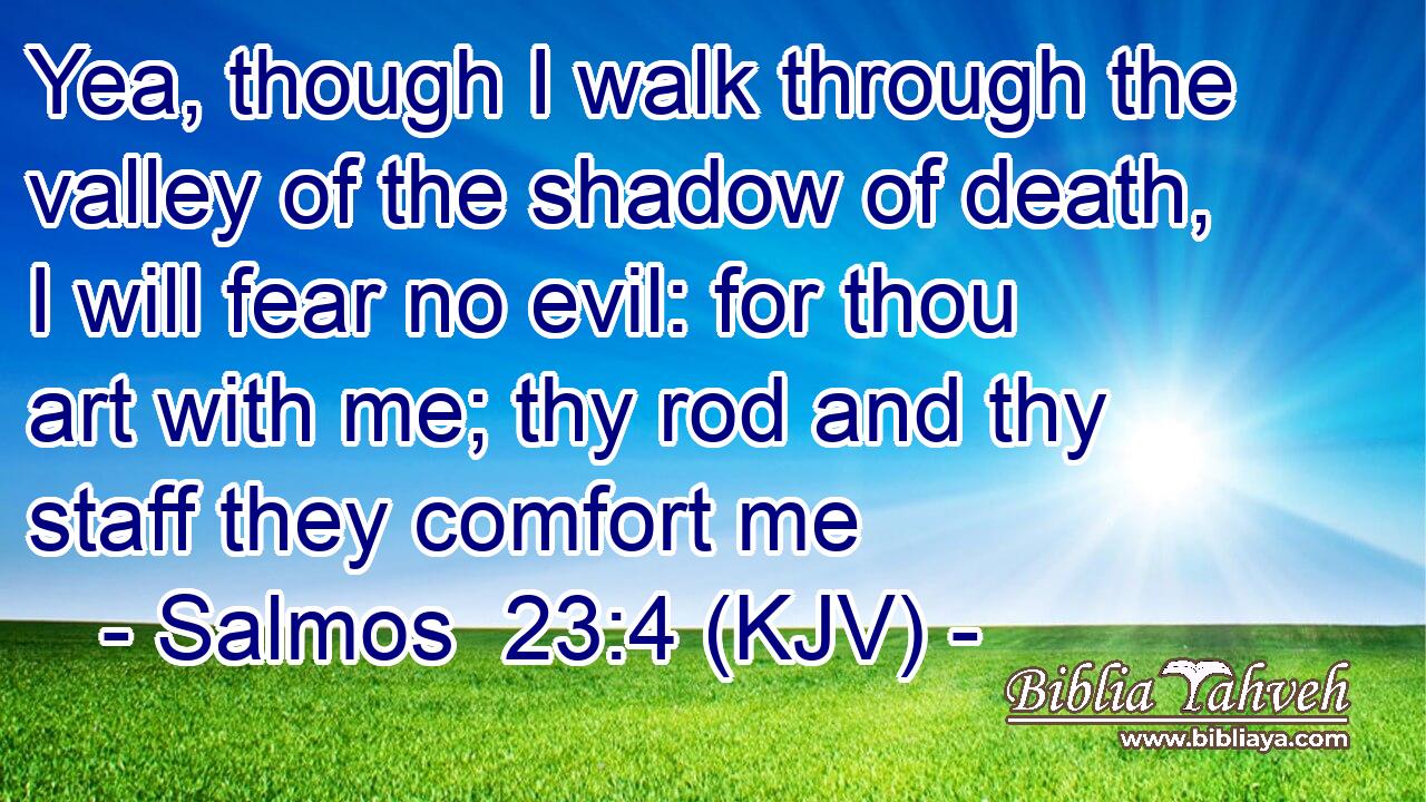 Yea, though I walk through the valley of the shadow of death, I will fear no evil: for thou art with me; thy rod and thy staff they comfort me