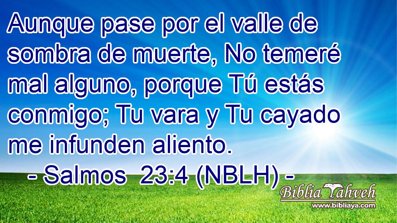  Aunque pase por el valle de sombra de muerte, No temeré mal alguno, porque Tú estás conmigo; Tu vara y Tu cayado me infunden aliento. 
