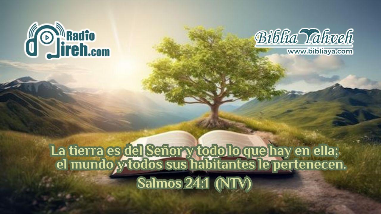 Salmo de David. La tierra es del SEÑOR y todo lo que hay en ella; el mundo y todos sus habitantes le pertenecen.