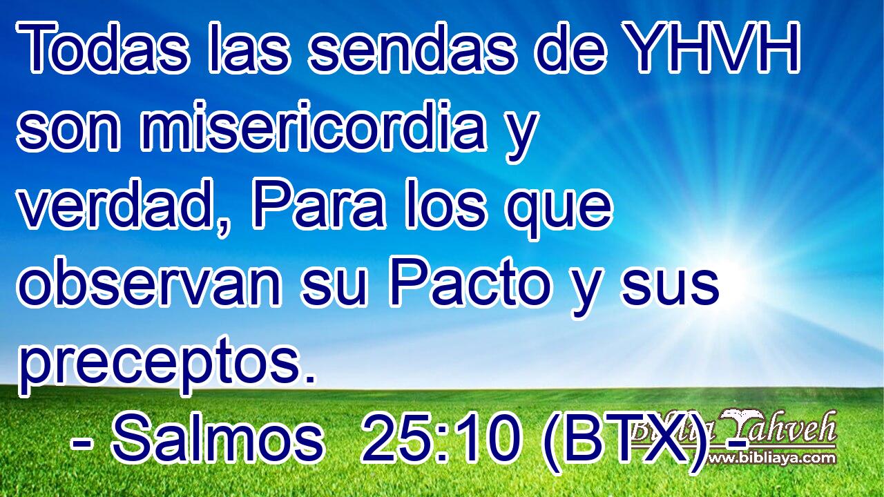 Todas las sendas de YHVH son misericordia y verdad, Para los que observan su Pacto y sus preceptos.