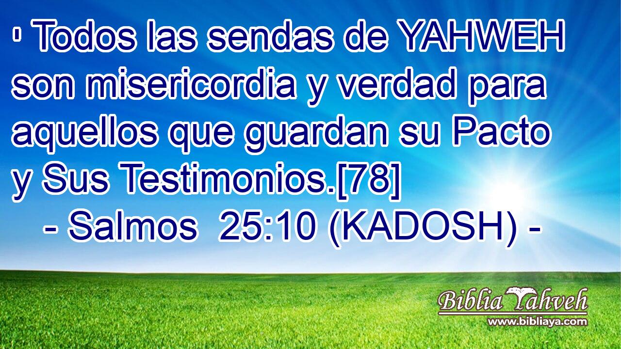  י Todos las sendas de YAHWEH son misericordia y verdad para aquellos que guardan su Pacto y Sus Testimonios.[78] 